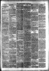 Consett Guardian Friday 17 April 1896 Page 3