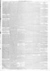 Annandale Observer and Advertiser Friday 04 January 1878 Page 3