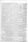 Annandale Observer and Advertiser Friday 01 February 1878 Page 3