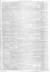 Annandale Observer and Advertiser Friday 15 February 1878 Page 3