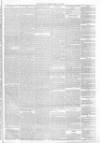 Annandale Observer and Advertiser Friday 22 February 1878 Page 3
