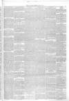 Annandale Observer and Advertiser Friday 19 April 1878 Page 3