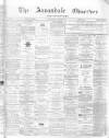 Annandale Observer and Advertiser Friday 01 November 1878 Page 1