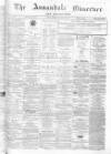 Annandale Observer and Advertiser Friday 15 November 1878 Page 1