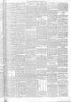 Annandale Observer and Advertiser Friday 22 November 1878 Page 3