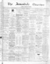 Annandale Observer and Advertiser Friday 29 November 1878 Page 1
