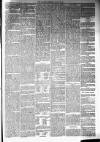 Annandale Observer and Advertiser Friday 03 January 1879 Page 3