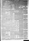 Annandale Observer and Advertiser Friday 17 January 1879 Page 3
