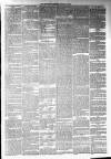 Annandale Observer and Advertiser Friday 31 January 1879 Page 3