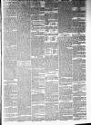 Annandale Observer and Advertiser Friday 07 February 1879 Page 3