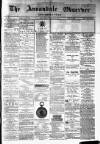 Annandale Observer and Advertiser Friday 21 February 1879 Page 1
