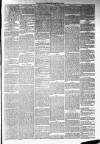 Annandale Observer and Advertiser Friday 21 February 1879 Page 3
