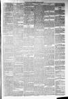 Annandale Observer and Advertiser Friday 28 February 1879 Page 3