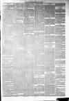 Annandale Observer and Advertiser Friday 25 April 1879 Page 3