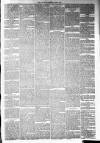 Annandale Observer and Advertiser Friday 06 June 1879 Page 3