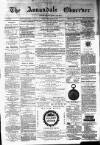 Annandale Observer and Advertiser Friday 13 June 1879 Page 1