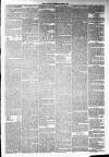 Annandale Observer and Advertiser Friday 27 June 1879 Page 3