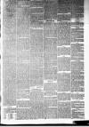 Annandale Observer and Advertiser Friday 11 July 1879 Page 3