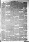 Annandale Observer and Advertiser Friday 25 July 1879 Page 3