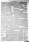 Annandale Observer and Advertiser Friday 22 August 1879 Page 3