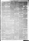 Annandale Observer and Advertiser Friday 10 October 1879 Page 3
