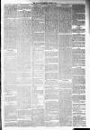 Annandale Observer and Advertiser Friday 17 October 1879 Page 3