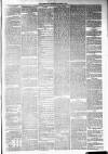 Annandale Observer and Advertiser Friday 31 October 1879 Page 3