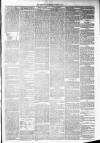 Annandale Observer and Advertiser Friday 07 November 1879 Page 3