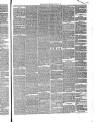 Annandale Observer and Advertiser Friday 16 January 1880 Page 3