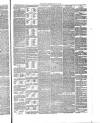 Annandale Observer and Advertiser Friday 30 January 1880 Page 3