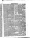 Annandale Observer and Advertiser Friday 06 February 1880 Page 3