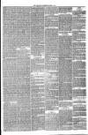 Annandale Observer and Advertiser Friday 05 March 1880 Page 3