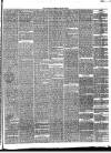 Annandale Observer and Advertiser Friday 19 March 1880 Page 3