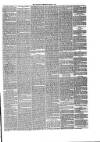 Annandale Observer and Advertiser Friday 26 March 1880 Page 3