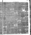 Annandale Observer and Advertiser Friday 02 April 1880 Page 3