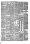 Annandale Observer and Advertiser Friday 09 April 1880 Page 3