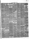 Annandale Observer and Advertiser Friday 30 April 1880 Page 3