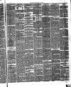 Annandale Observer and Advertiser Friday 14 May 1880 Page 3