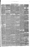 Annandale Observer and Advertiser Friday 21 May 1880 Page 3