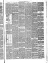 Annandale Observer and Advertiser Friday 28 May 1880 Page 3