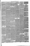 Annandale Observer and Advertiser Friday 11 June 1880 Page 3