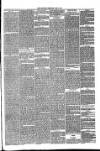 Annandale Observer and Advertiser Friday 18 June 1880 Page 3