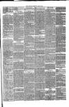 Annandale Observer and Advertiser Friday 25 June 1880 Page 3