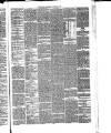 Annandale Observer and Advertiser Friday 03 September 1880 Page 3