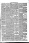 Annandale Observer and Advertiser Friday 08 October 1880 Page 3
