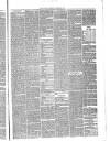 Annandale Observer and Advertiser Friday 22 October 1880 Page 3