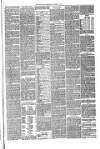 Annandale Observer and Advertiser Friday 29 October 1880 Page 3