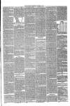 Annandale Observer and Advertiser Friday 05 November 1880 Page 3