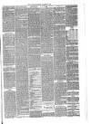 Annandale Observer and Advertiser Friday 19 November 1880 Page 3