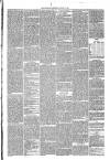 Annandale Observer and Advertiser Friday 07 January 1881 Page 3